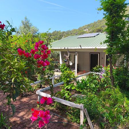 Gelidonia Fenerium Holiday Home Antalya Exterior foto